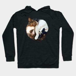 Yin Yang, Cats Cat Lover Kitten,  Chinese Symbol Hoodie